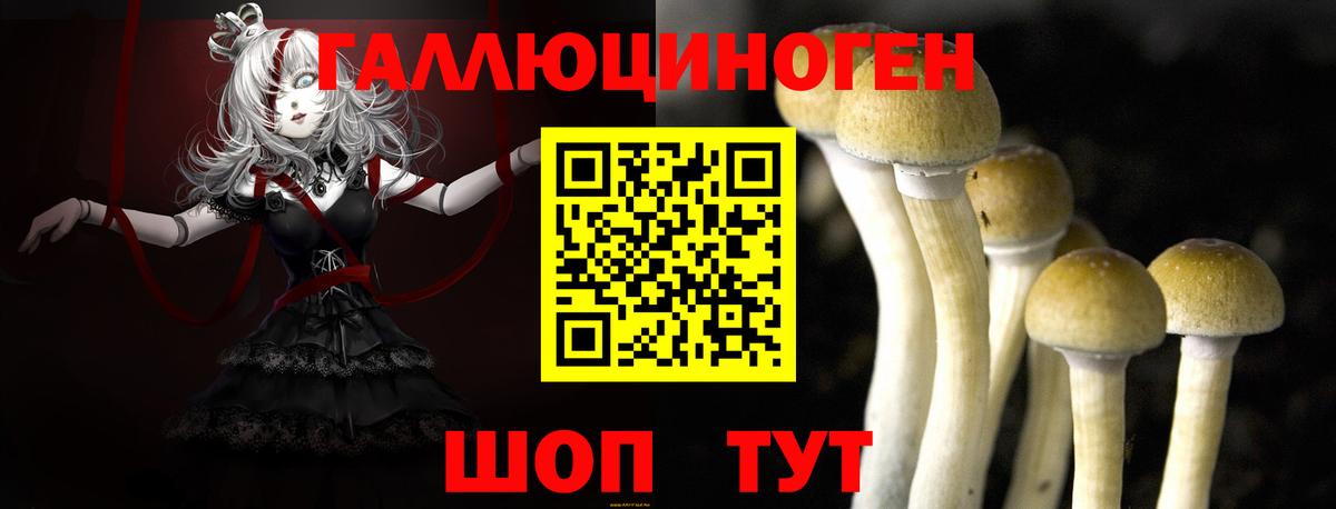 Галлюциногенные грибы прущие грибы Элиста