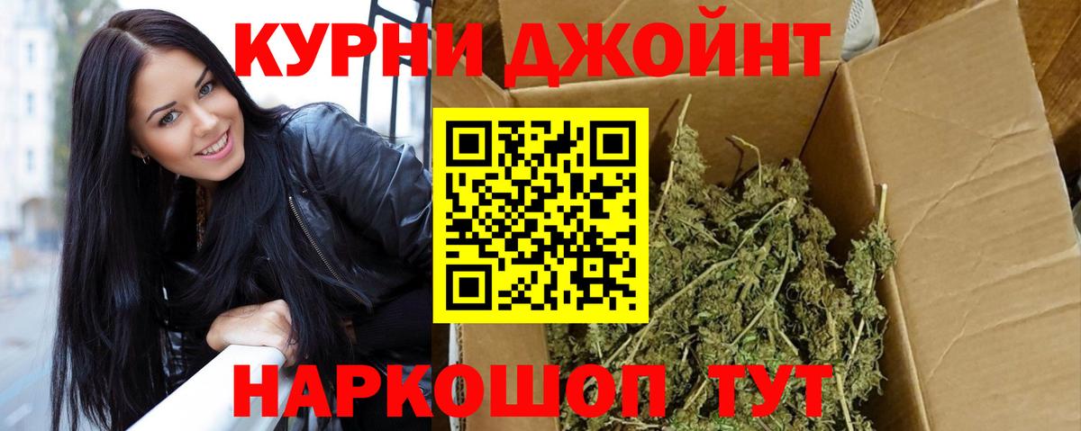 Бошки марихуана конопля  Вход с VPN  Элиста  Конопля гибрид 